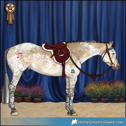 Horse Color:Gray Buckskin Dun Splash Tobiano 
