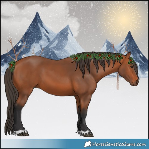 Horse Color:Bay 