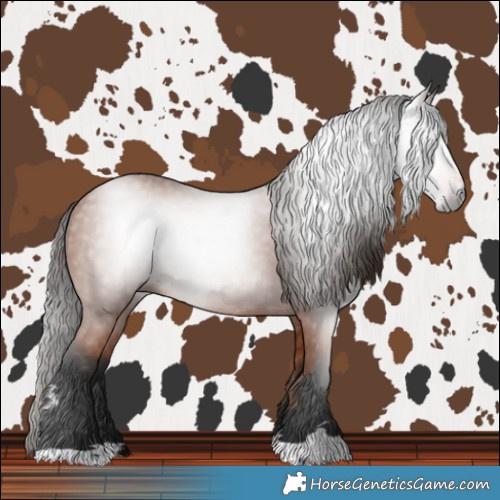 Horse Color:Gray Bay 