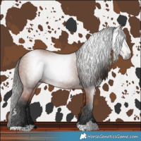 Horse Color:Gray Bay 