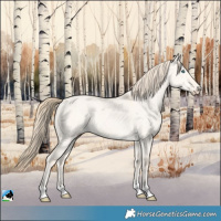 Horse Color:Perlino Dun