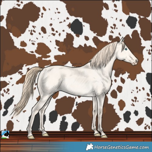Horse Color:Perlino Dun 