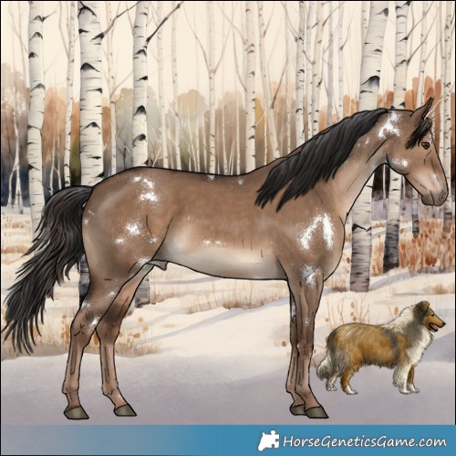 Horse Color:White Spotted Liver Red Dun