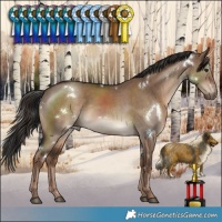Horse Color:White Spotted Liver Red Dun