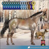 Horse Color:White Spotted Liver Red Dun 