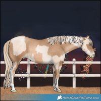 Horse Color:Gold Cream Champagne Pearl Rabicano and Chocolate Palomino Pearl Rabicano