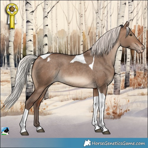 Horse Color:Silver Brown Dun Tobiano Appaloosa Rabicano 
