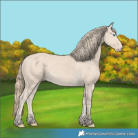 Horse Color:Smoky Creme 