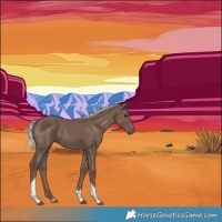 Horse Color:Silver Black Tobiano 