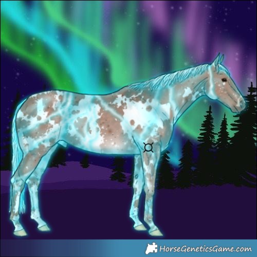 Horse Color:Thunderstruck White Spotted Silver Black