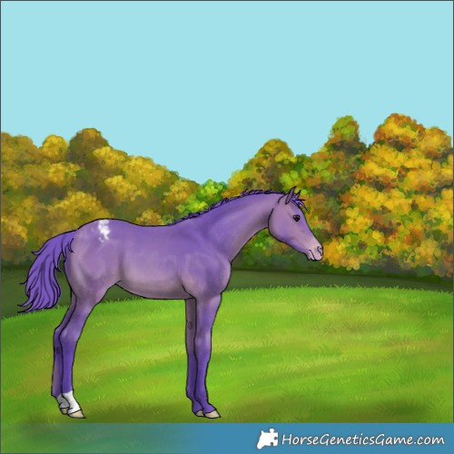Horse Color:Watercolor Brown Varnish 