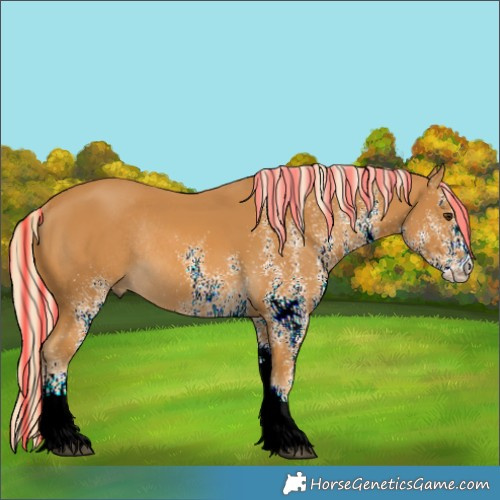 Horse Color:Painted White Spotted Palomino Rabicano 