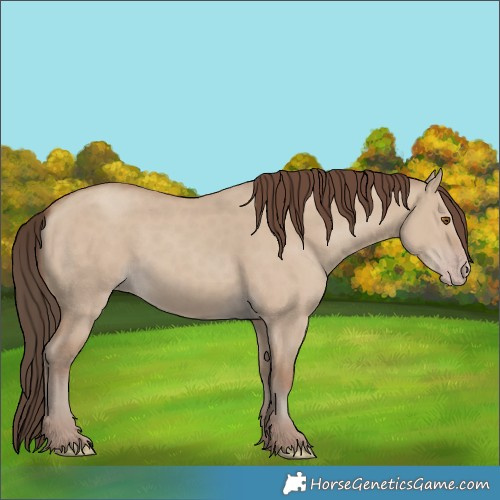 Horse Color:Classic Champagne Dun 