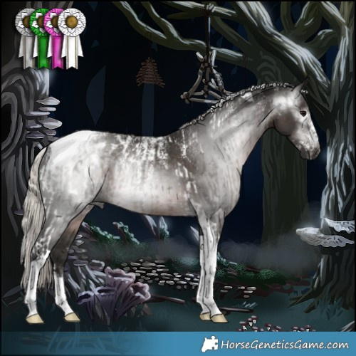 Horse Color:Powder White Gray Silver Black Tobiano Appaloosa  and Powder White Gray Silver Black Tobiano 