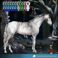 Horse Color:Powder White Gray Silver Black Tobiano Appaloosa and Powder White Gray Silver Black Tobiano