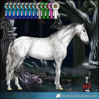Horse Color:Powder White Gray Silver Black Tobiano Near Leopard and Powder White Gray Silver Black Tobiano