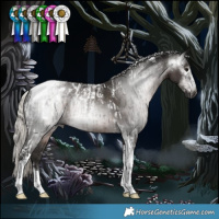 Horse Color:Powder White Gray Silver Black Tobiano Appaloosa and Powder White Gray Silver Black Tobiano