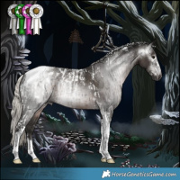 Horse Color:Powder White Gray Silver Black Tobiano Appaloosa  and Powder White Gray Silver Black Tobiano 