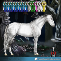 Horse Color:Powder White Gray Silver Black Tobiano Near Leopard and Powder White Gray Silver Black Tobiano