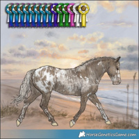 Horse Color:Silver Grullo Splash Snowcap  and White Spotted Silver Smoky Grullo Blanket 
