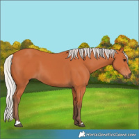 Horse Color:Silver Bay