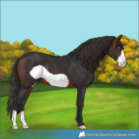 Horse Color:Brown Frame