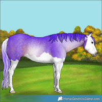 Horse Color:Gray Watercolor Bay Splash Rabicano 