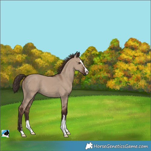 Horse Color:Liver Red Dun 