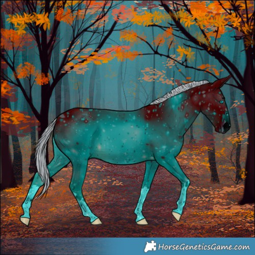 Horse Color:ERROR: UNKNOWN ANOMALY