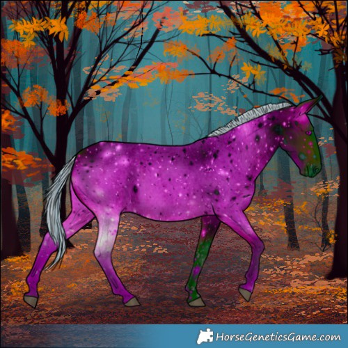 Horse Color:ERROR: UNKNOWN ANOMALY