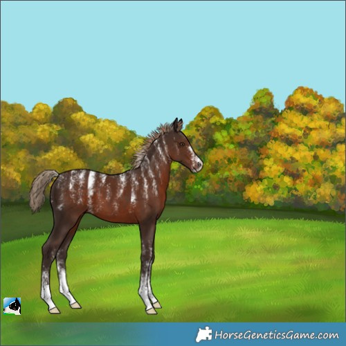 Horse Color:Powder White Liver Chestnut 