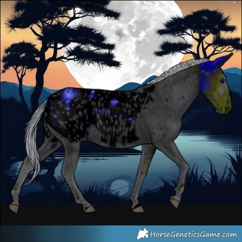 Horse Color:ERROR: UNKNOWN ANOMALY
