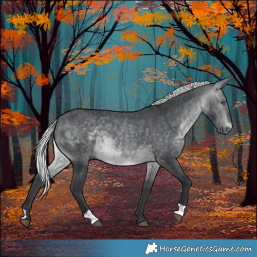 Horse Color:Silver Brown Chinchilla 