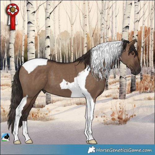 Horse Color:Liver Red Dun Tobiano 