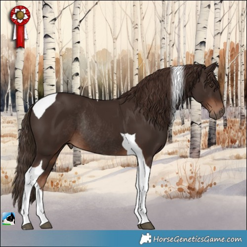 Horse Color:Liver Chestnut Tobiano Rabicano 