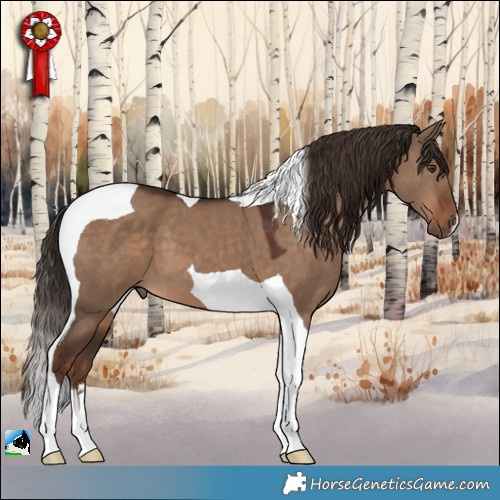 Horse Color:Liver Red Dun Tobiano 