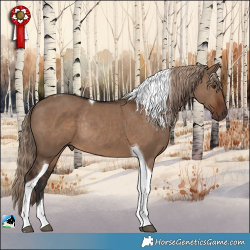 Horse Color:Liver Red Dun Tobiano Rabicano 