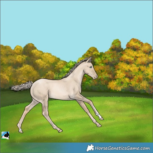 Horse Color:Chocolate Palomino Pearl Dun 