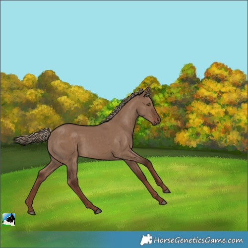 Horse Color:Liver Red Dun 