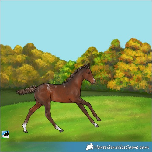 Horse Color:Powder White Liver Chestnut 