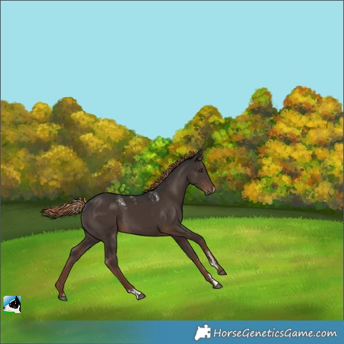 Horse Color:Powder White Liver Chestnut 