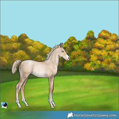 Horse Color:Chocolate Palomino Pearl Dun 
