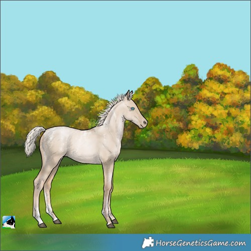 Horse Color:Powder White Chocolate Palomino Pearl Dun 
