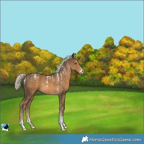 Horse Color:Powder White Chocolate Palomino 