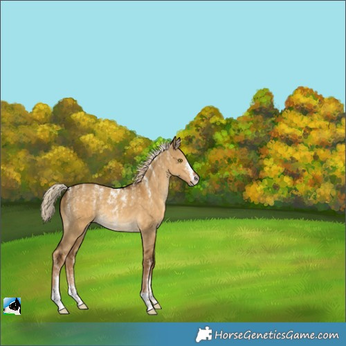 Horse Color:Powder White Chocolate Palomino Dun 