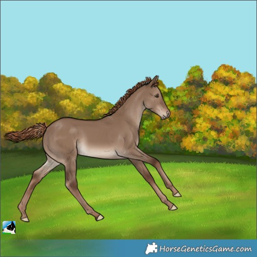 Horse Color:Liver Red Dun 