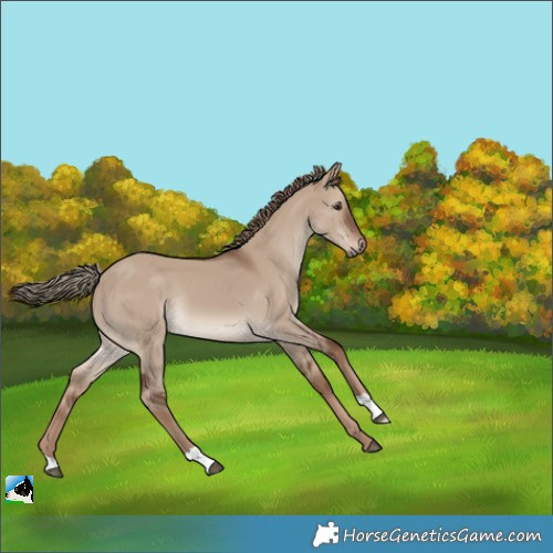 Horse Color:Liver Red Dun 