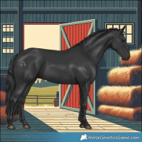 Horse Color:Black 