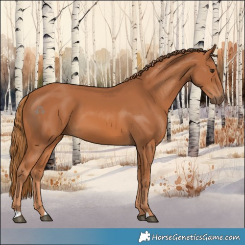 Horse Color:Chestnut 