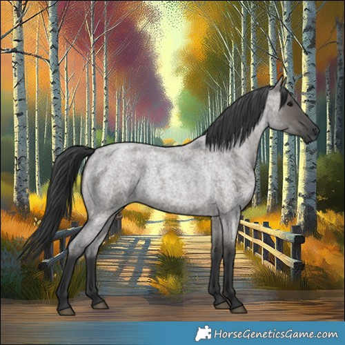 Horse Color:Grullo Roan 